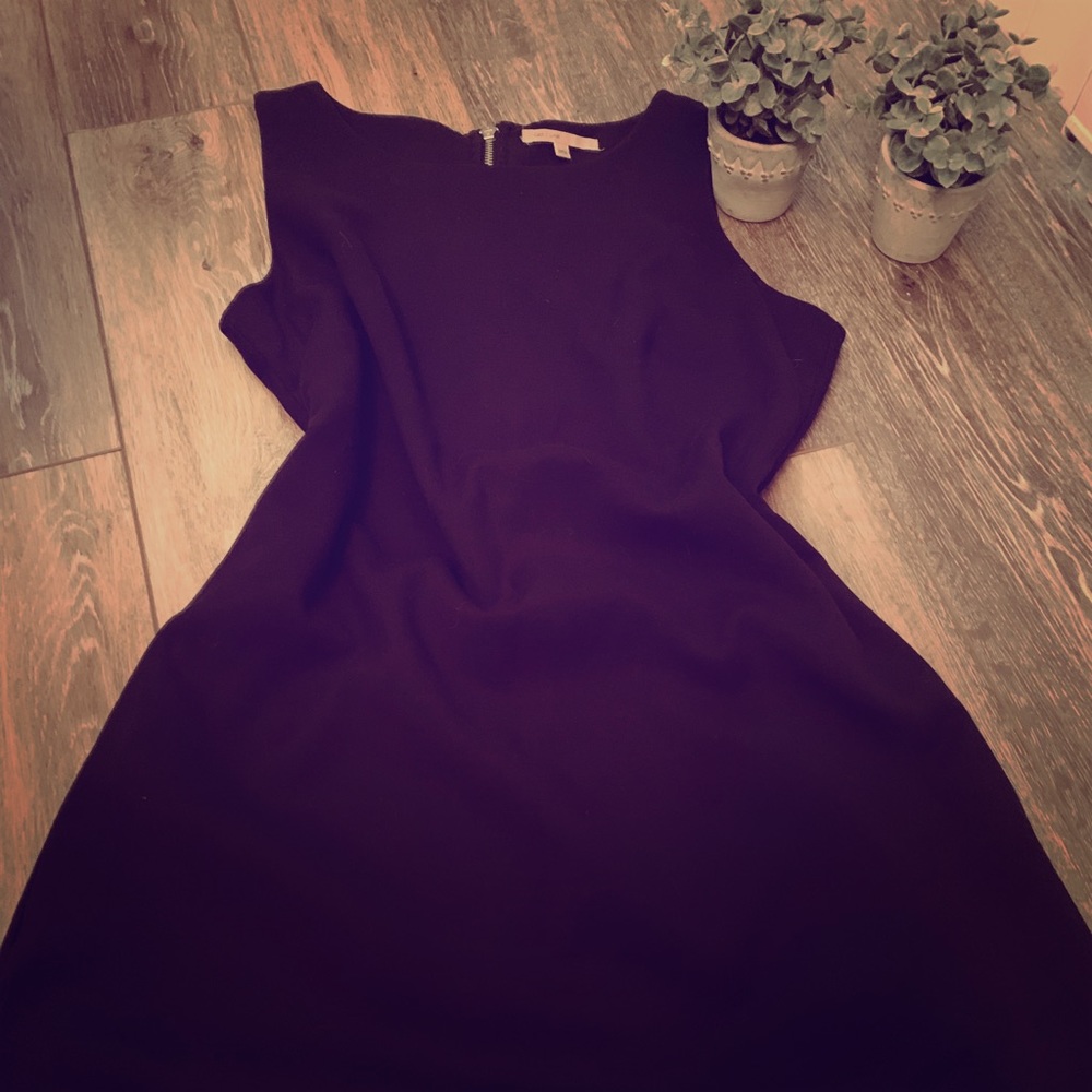 🥰 Gap Dress